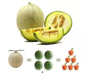 吃瓜咬手指,揭秘吃瓜咬手指的趣味瞬间