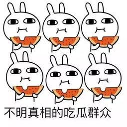 吃瓜大字头像,揭秘吃瓜大字头像背后的故事