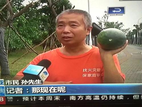 大型吃瓜群众事件,揭秘网络围观背后的真相