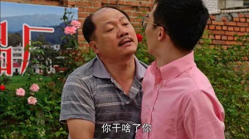 龙牙高飞吃瓜,吃瓜群众的狂欢盛宴