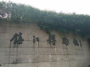 重生之盱眙吃瓜