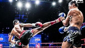 吃瓜娱乐拳击比赛,吃瓜群众眼中的精彩对决