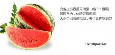 星禾吃瓜,揭秘娱乐圈背后的那些事儿