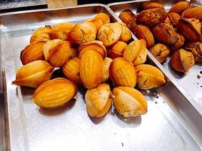 宜兴丁山 吃瓜,瓜果飘香，品味田园生活