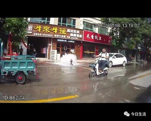 司机吃瓜撞车事件,警钟长鸣安全驾驶