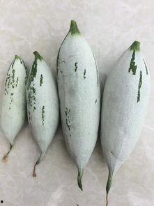 耗子瓜可以吃吗