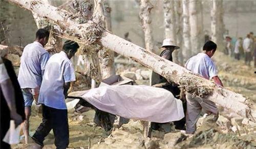 金乡吃瓜血案,吃瓜引发的悲剧，揭开背后真相