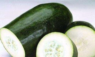 玉珠的日常吃瓜,瓜田里的欢乐时光