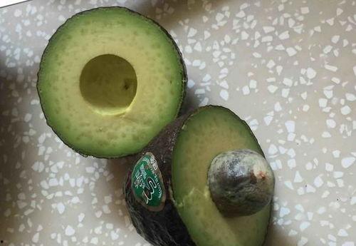 玉珠的日常吃瓜,瓜田里的欢乐时光