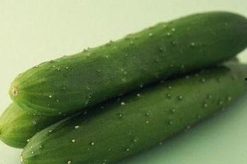 玉珠的日常吃瓜,瓜田里的欢乐时光