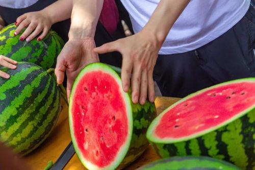 吃瓜学校桌子,揭秘校园桌子的秘密生活