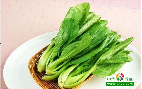 青菜茭瓜能一起吃,营养互补的绿色盛宴