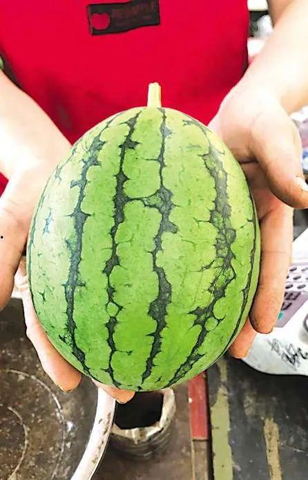 吃瓜山东事件,揭秘网络舆论背后的真相与反思