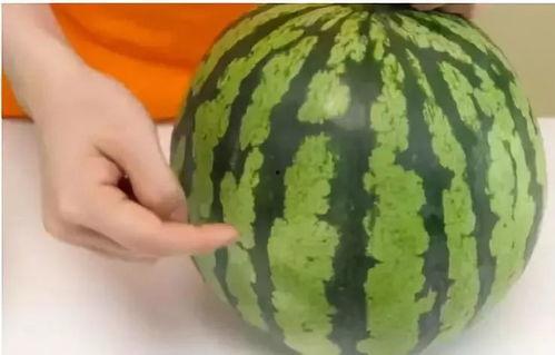 吃瓜薄皮,探寻夏日消暑美食的秘密