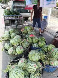 大理最新吃瓜事件新闻,最新进展与热议焦点