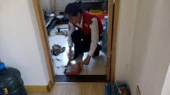 老人点外卖吃瓜,老人点外卖吃瓜的温馨故事