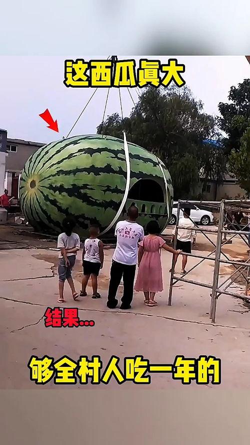 吃瓜之人偷瓜搞笑视频,吃瓜群众上演“瓜田李下”喜剧秀