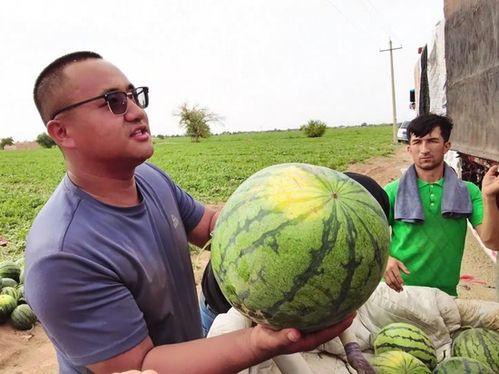 最近国外吃瓜新闻,最新“瓜”事盘点