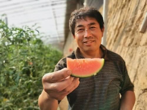 商河吃瓜事件视频,一场引发热议的网络视频风波