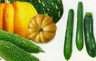 吃瓜可以抗饿,轻松抗饿，享受夏日清凉