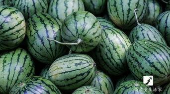 晚上睡前吃瓜了,揭秘睡前吃瓜的奥秘与影响