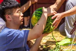 武生院吃瓜长椅,校园一景，见证青春闲谈时光