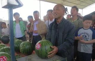 驻马店吃瓜群众,吃瓜群众的市井生活与人间烟火