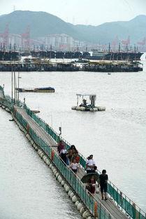 中国渔船演戏吃瓜,揭秘海洋生活百态