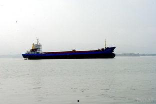 中国渔船演戏吃瓜,揭秘海洋生活百态