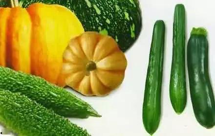 海盗船吃瓜,揭秘海上冒险者的悠闲时光